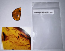 Load image into Gallery viewer, Dinosaur age Burmite Fossil AMBER with 2 HUGE 5+ mm Insect Larvae! TESTED FOR AUTHENTICITY!!