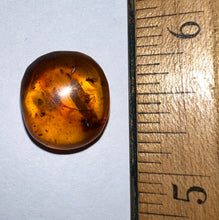Load image into Gallery viewer, Dinosaur age Burmite Fossil AMBER with Pristine Spider and Winged Insect! TESTED FOR AUTHENTICITY!!