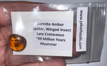 Load image into Gallery viewer, Dinosaur age Burmite Fossil AMBER with Pristine Spider and Winged Insect! TESTED FOR AUTHENTICITY!!