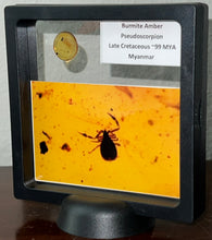 Load image into Gallery viewer, Dinosaur age Burmite Fossil AMBER with rare pristine PSEUDOSCORPION! TESTED FOR AUTHENTICITY!!