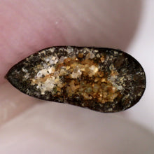 Load image into Gallery viewer, Rare Acheroraptor Fossil Tooth Dromaeosaur True Raptor from the Hell Creek .4 Inches!