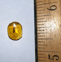 Load image into Gallery viewer, GEM Dinosaur age Burmite Fossil AMBER with rare Lacewing! TESTED FOR AUTHENTICITY!!