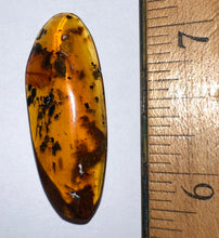 Load image into Gallery viewer, GEM Dinosaur age Burmite Fossil AMBER with SUPER RARE FEATHER 6+ mm! TESTED FOR AUTHENTICITY!!