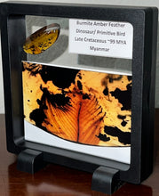 Load image into Gallery viewer, GEM Dinosaur age Burmite Fossil AMBER with SUPER RARE FEATHER 6+ mm! TESTED FOR AUTHENTICITY!!