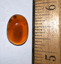 Load image into Gallery viewer, Dinosaur age Burmite Fossil AMBER with rare pristine PSEUDOSCORPION! TESTED FOR AUTHENTICITY!!