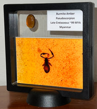 Load image into Gallery viewer, Dinosaur age Burmite Fossil AMBER with rare pristine PSEUDOSCORPION! TESTED FOR AUTHENTICITY!!