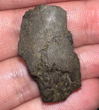 Load image into Gallery viewer, Framed Dinosaur and Reptile Tooth Collection Includes Tyrannosaurus Rex, Carcharodontosaur, Spinosaur, Triceratops type, and More!