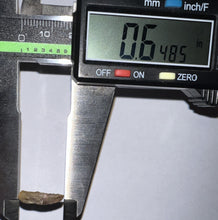 Load image into Gallery viewer, Super Rare Dimetrodon Fossil Claw .64 Inches