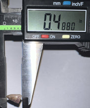 Load image into Gallery viewer, Dimetrodon Fossil Tooth .48 Inches