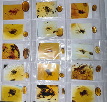 Load image into Gallery viewer, Dinosaur age Burmite Fossil AMBER with SPIDER Lot! One Per Order! TESTED FOR AUTHENTICITY!!