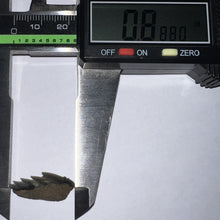 Load image into Gallery viewer, Fossil Sevengill Shark Tooth .88 Inches