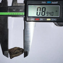 Load image into Gallery viewer, Framed Huge Triceratops type Ceratopsian Tooth .89 Inches