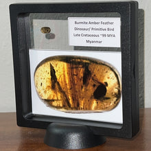 Load image into Gallery viewer, Dinosaur age Burmite Fossil AMBER with SUPER RARE FEATHER! 4.5 MM! TESTED FOR AUTHENTICITY!!