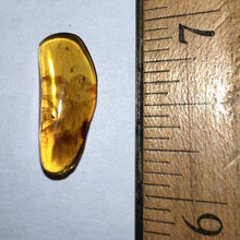 Load image into Gallery viewer, GEM Dinosaur age Burmite Fossil AMBER with 5 HUGE PRISTINE SUPER RARE FEATHERS 9 mm! TESTED FOR AUTHENTICITY!!