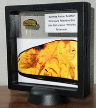Load image into Gallery viewer, GEM Dinosaur age Burmite Fossil AMBER with 5 HUGE PRISTINE SUPER RARE FEATHERS 9 mm! TESTED FOR AUTHENTICITY!!