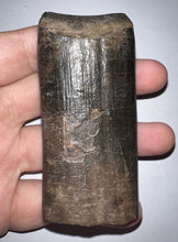 Load image into Gallery viewer, Huge Rare Ice Age Fossil Giant Ground Sloth Eremotherium Partial Tooth 3.15 Inches