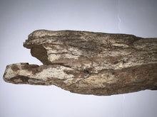 Load image into Gallery viewer, Triceratops type Ceratopsian Partial Brow Horn 16 Inches Hell Creek Montana