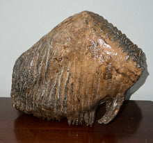 Load image into Gallery viewer, GEM ENORMOUS Ice Age Fossil Woolly Mammoth Molar 12.5 Inches and over 16 Pound from Siberia