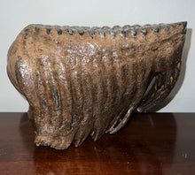 Load image into Gallery viewer, GEM Huge Ice Age Fossil Woolly Mammoth Molar 8.74 Inches from Siberia