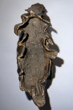 Load image into Gallery viewer, HUGE Ice Age Fossil Woolly Mammoth Molar 9.55 Inches from Siberia