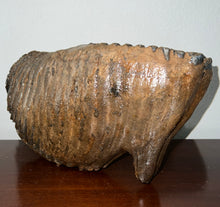 Load image into Gallery viewer, GEM ENORMOUS Ice Age Fossil Woolly Mammoth Molar 12.75 Inches from Siberia