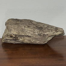 Load image into Gallery viewer, Triceratops type Ceratopsian Partial Brow Horn 7.8 Inches with Associated Carnivorous Dinosaur Tooth!! Hell Creek Montana