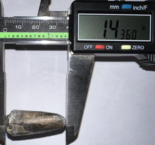 Load image into Gallery viewer, Supercroc Tooth Sarcosuchus Imperator 1.43 Inches!