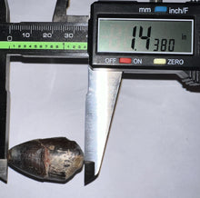 Load image into Gallery viewer, Supercroc Tooth Sarcosuchus Imperator 1.43 Inches!