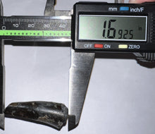 Load image into Gallery viewer, Large Supercroc Tooth Sarcosuchus Imperator 1.69 Inches!