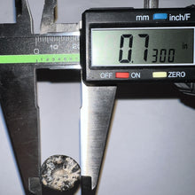 Load image into Gallery viewer, Large Supercroc Tooth Sarcosuchus Imperator 1.69 Inches!