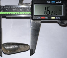 Load image into Gallery viewer, Large Supercroc Tooth Sarcosuchus Imperator 1.62 Inches!