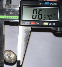 Load image into Gallery viewer, Large Supercroc Tooth Sarcosuchus Imperator 1.62 Inches!