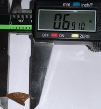 Load image into Gallery viewer, Rare Majungasaurus Fossil Tooth Giant Abelisaur .69 Inches!