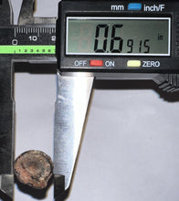 Load image into Gallery viewer, Supercroc Tooth Sarcosuchus Imperator 1.37 Inches!