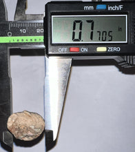 Load image into Gallery viewer, Large Supercroc Tooth Sarcosuchus Imperator 1.68 Inches!