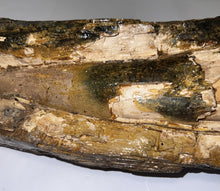Load image into Gallery viewer, American Mastodon Fossil Nearly Complete Tusk 24 Inches No Repair!