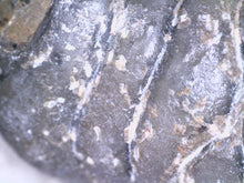 Load image into Gallery viewer, Gem Huge Rare Crotalocephalus Fossil Trilobite 3.2 Inches