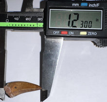 Load image into Gallery viewer, Phytosaur Huge Fossil Tooth 1.23 Inches! Fantastic Serrations! Triassic Aquatic Reptile!