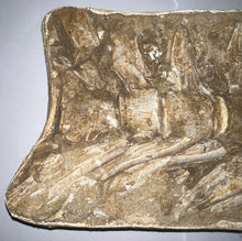 Load image into Gallery viewer, SUPER RARE Natural Articulated Mosasaur Tail Vertebrae in Original Matrix 7 Vertebrae! 12.5 Inches! Dinosaur Era Marine Reptile!