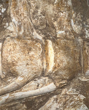 Load image into Gallery viewer, SUPER RARE Natural Articulated Mosasaur Tail Vertebrae in Original Matrix 7 Vertebrae! 12.5 Inches! Dinosaur Era Marine Reptile!