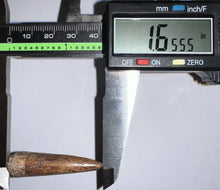 Load image into Gallery viewer, Phytosaur HUGE Fossil Tooth 1.65 Inches! Great Serrations! Triassic Aquatic Reptile!