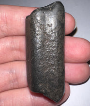 Load image into Gallery viewer, Ice Age Fossil Ground Sloth Megalonyx Tooth 1.95 Inches