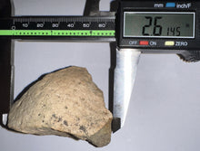 Load image into Gallery viewer, Pachycephalosaurus Fossil Dome Piece 2.61 Inches