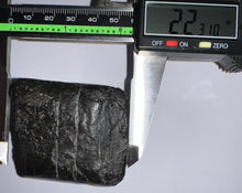 Load image into Gallery viewer, Rare Ice Age Fossil Giant Ground Sloth Eremotherium Tooth 2.23 Inches