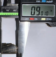 Load image into Gallery viewer, Framed Tyrannosaurus Rex Fossil Tooth Fragment .9 Inches