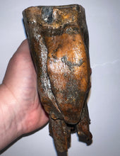 Load image into Gallery viewer, GEM Large Ice Age Fossil Woolly Mammoth Molar 7 Inches from Siberia