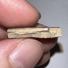 Load image into Gallery viewer, Framed Tyrannosaurus Rex Fossil Tooth Fragment .83 Inches