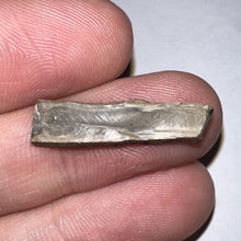 Load image into Gallery viewer, Framed Tyrannosaurus Rex Fossil Tooth Fragment .96 Inches