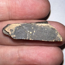 Load image into Gallery viewer, Framed Tyrannosaurus Rex Fossil Tooth Fragment 1.23 Inches