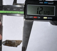 Load image into Gallery viewer, Framed Tyrannosaurus Rex Fossil Tooth Fragment 1.23 Inches